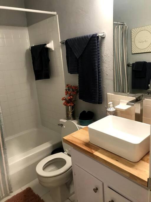 Cheerful 3 Bedroom 2Ba Home In Great Neighborhood! Jacksonville Exteriér fotografie